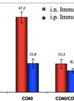 Isolation and in vitro Activation of Mouse Peyer’s Patch Cells from Small Intestine Tissue
