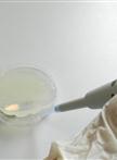 Stable Transformation of Cyanobacterium Synechocystis sp.