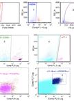 Isolation of FAP Cells from Mouse Dystrophic Skeletal Muscle Using Fluorescence Activated Cell Sorting
