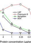 Competitive ELISA for Protein-lipopolysaccharide (LPS) Binding