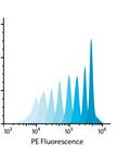 Fluorescence-linked Antigen Quantification (FLAQ) Assay for Fast Quantification of HIV-1 p24<sup>Gag</sup>