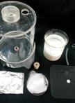 Collection of Root Exudate from Duckweed