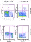 Intracellular Cytokine Staining on PBMCs Using CyTOFTM Mass Cytometry