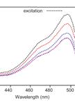 Quantification of Extracellular Ammonium Concentrations and Transporter Activity in Yeast Using AmTrac Fluorescent Sensors