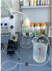 In vitro Dynamic Model of a Catheterized Bladder and Biofilm Assay