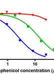 Mitochondrial Biogenesis Assay after 5-day Treatment in PC-3 Cells