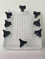 A Filter Binding Assay to Quantify the Association of Cyclic di-GMP to Proteins