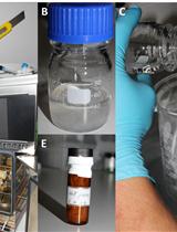 Application of Silicone Tubing for Robust, Simple, High-throughput, and Time-resolved Analysis of Plant Volatiles in Field Experiments