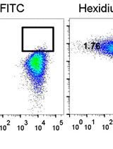 Macrophage Phagocytosis Assay of Staphylococcus aureus by Flow Cytometry