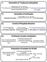 A Gas Chromatography-Mass Spectrometry-Based Two Stage Assay for Measurement of in vitro myo-Inositol 3-phosphate Synthase (INO1) Activity