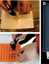 Measurement of Cellular Redox in Pollen with Redox-Sensitive GFP (roGFP) Using Live Cell Imaging