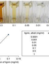 Lignin Extraction and Quantification, a Tool to Monitor Defense Reaction at the Plant Cell Wall Level