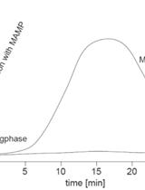  Chemiluminescence Detection of the Oxidative Burst in Plant Leaf Pieces