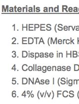从肠道中分离嗜中性白细胞