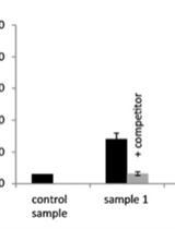 A Chemiluminescence Based Receptor-ligand Binding Assay Using Peptide Ligands with an Acridinium Ester Label