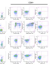 Intracellular Cytokine Staining (ICS) on Human Lymphocytes or Peripheral Blood Mononuclear Cells (PBMCs)