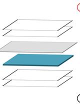 Lectin Binding Analysis of Streptococcus mutans Glycoproteins
