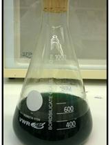 Isolation of Heterocysts from Anabaena sp. PCC 7120