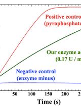 Measurement of Nucleotide Triphosphate Sugar Transferase Activity via Generation of Pyrophosphate