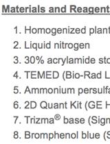 In Gel Detection of Lipase Activity in Crude Plant Extracts (Olea europaea)