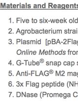 <em>In vitro</em> Reconstitution Assay of miRNA Biogenesis by Arabidopsis DCL1
