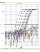 精浆中HIV RNA 和人疱疹病毒DNA的量化