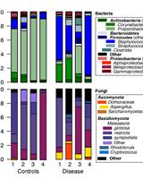Human, Bacterial and Fungal Amplicon Collection and Processing for Sequencing