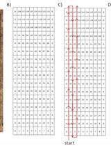 Simple Digital Photography for Assessing Biomass and Leaf Area Index in Cereals