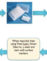 Cytokine-Stimulated Phosphoflow of Whole Blood Using CyTOF Mass Cytometry