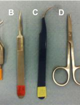 A Mouse Model of Preterm Brain Injury after Hypoxia-Ischemia