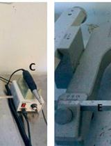 A Rat Model of Intracerebral Hemorrhage Induced by Collagenase IV