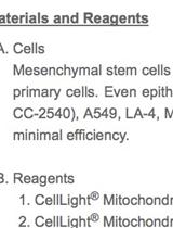 Assessing Mitochondrial Transport via Cytoplasmic Nanotubular Bridges in Cells