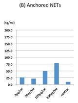 Quantification of ex vivo Neutrophil Extracellular Traps