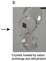 Post-crystallization Improvement of RNA Crystals by Synergistic Ion Exchange and Dehydration