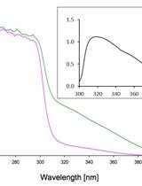 Determination of Hydroquinone Dioxygenase Activity