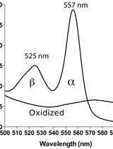 Pyridine Hemochromagen Assay for Determining the Concentration of Heme in Purified Protein Solutions