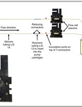 Quantification of Respiratory Activity in Biofilms