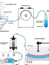 Density Gradient Centrifugation for Enrichment and Identification of GFP-tagged Chitosomal Microvesicles of Filamentous Fungi