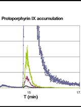 Bacterial Porphyrin Extraction and Quantification by LC/MS/MS Analysis