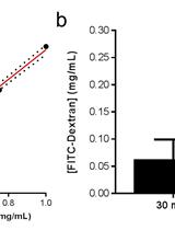 In vivo Fluorescein Isothiocyanate-dextran (FD4) Permeability Assay