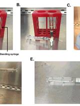 Collagen-induced Arthritis: A Model for Murine Autoimmune Arthritis