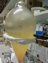 从蜂胶中分离三萜