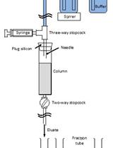 Purification of a Protein Exhibiting Isoleucine 2-epimerase Activity from Lactobacillus otakiensis JCM 15040
