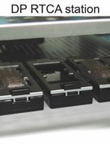 Isolation of Murine Adipose Tissue-derived Mesenchymal Stromal Cells (mASCs) and the Analysis of Their Proliferation in vitro