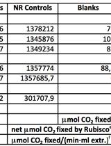 Assay of the Carboxylase Activity of Rubisco from <em>Chlamydomonas reinhardtii</em>