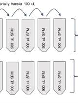 Human Blood Component Vaccinia Virus Neutralization Assay