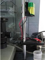 Measurement of H<sup>+</sup> Flux in Rice by Non-invasive Micro-test Technology