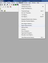 Neurite Outgrowth Assay