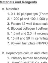 HBV Infection in Human Hepatocytes and Quantification of Encapsidated HBV DNA