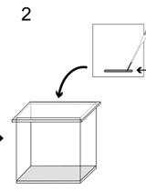 Preparation of Chloroplast Lipid Membrane and Lipid-protein Interaction Assay